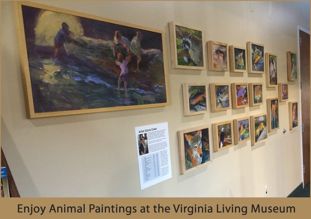 Animal Patings at VLM