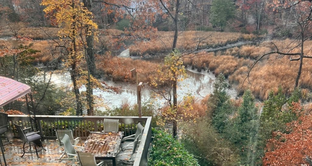 Plein Air Painting from my lovely deck